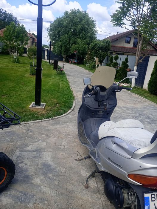 Suzucy burman 250