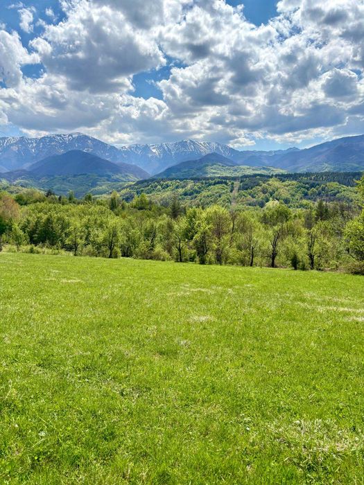 Продава се Парцел в Троян - 2000 кв.м за 8 €/кв.м - Снимка #2