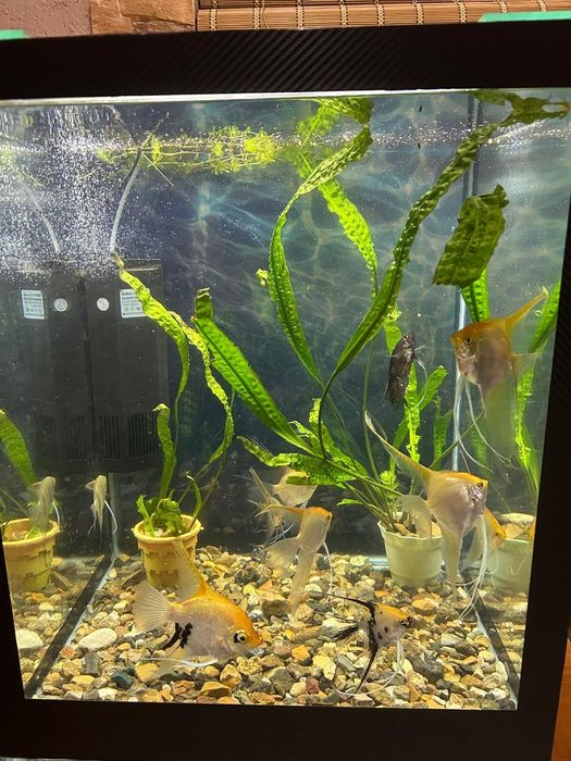 Продам новый аквариум 150 л.