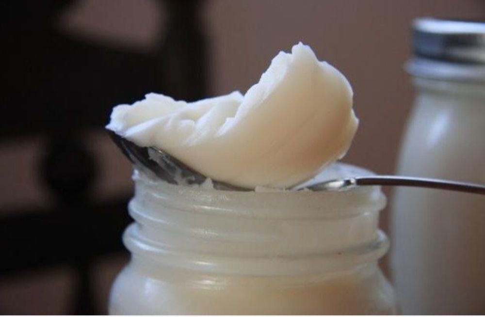 Xaqiqiy ĝoz yoĝi borsiq yoĝi