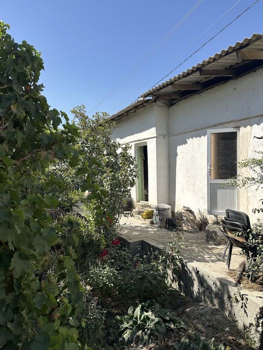 Hovli sotiladi. Karmana tumani
