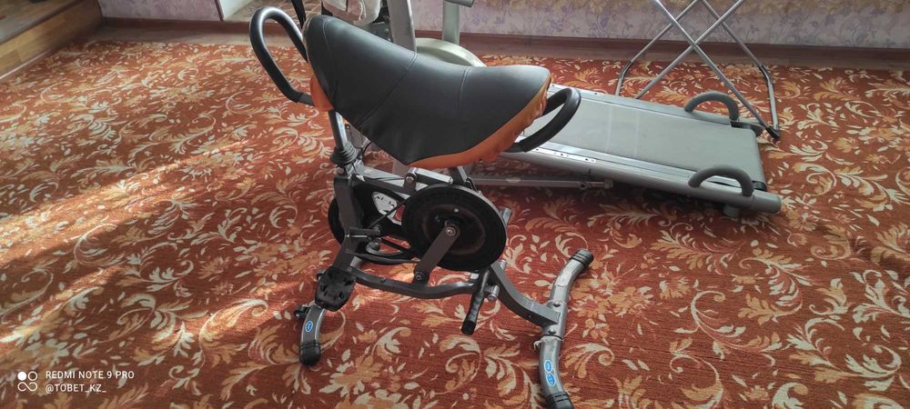 Тренажёр для всего тела(көкпар)