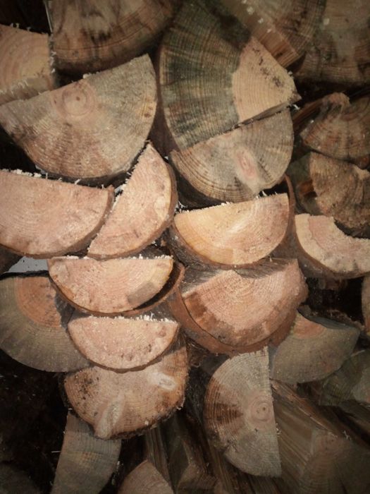Дърва за огрев - Бук, Дъб, Бор, Трепетлика