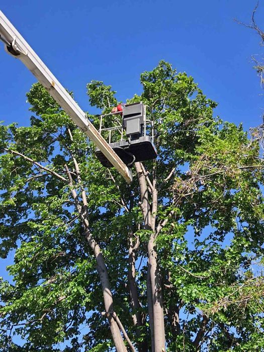 Услуги с автовишка