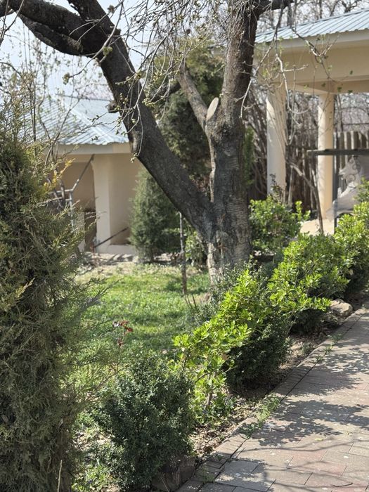 Дача угам Беш тут МФЙ