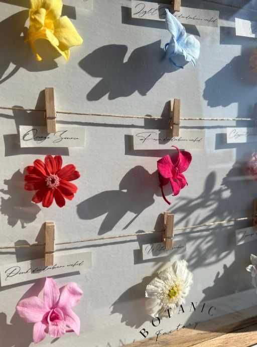 Ботанически мемоар с нови консервирани цветя в рустикална рамка