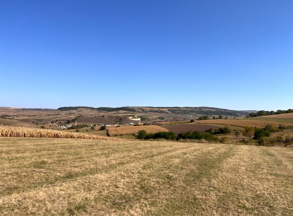 Teren extravilan întabulat Baciu