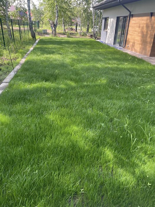 Посев газона под ключ