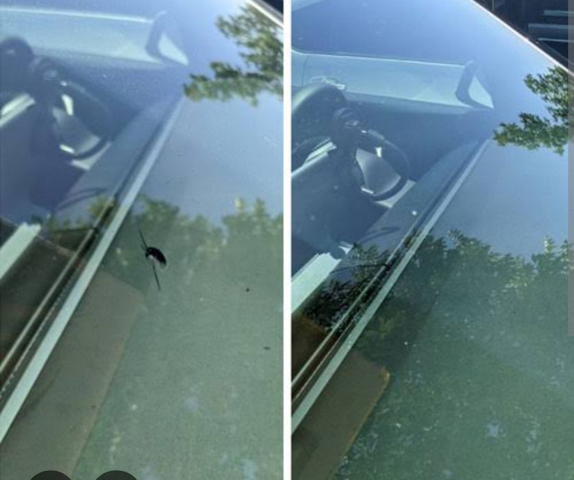 Ремонт лобового стекла