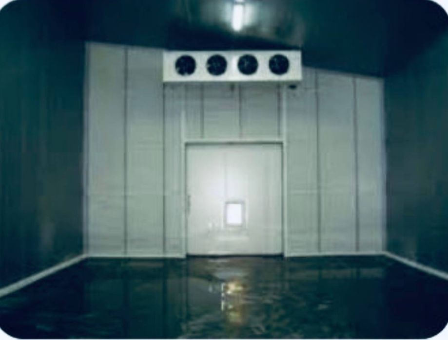 Ремонт Промьшленный Холодильников и домашний