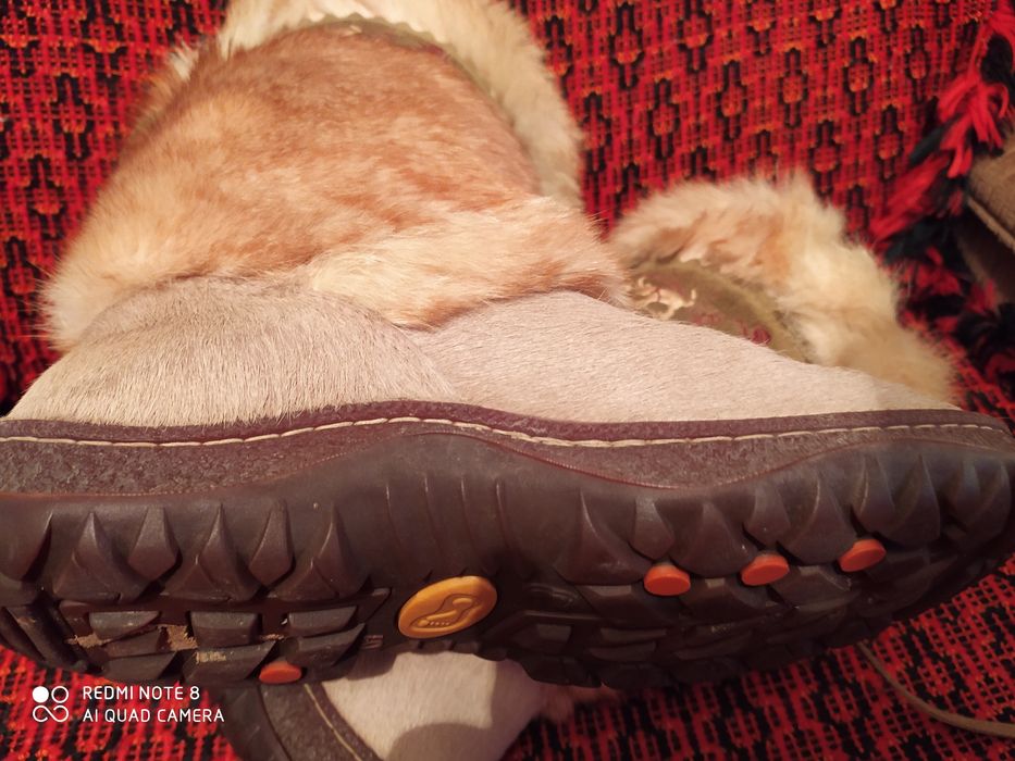 Сапоги женские...