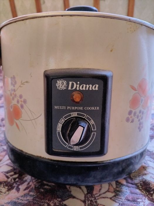 Фритюрница и пароварка Дианна