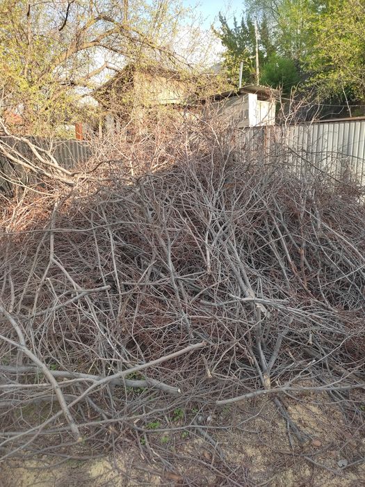 Дрова бесплатно сухие