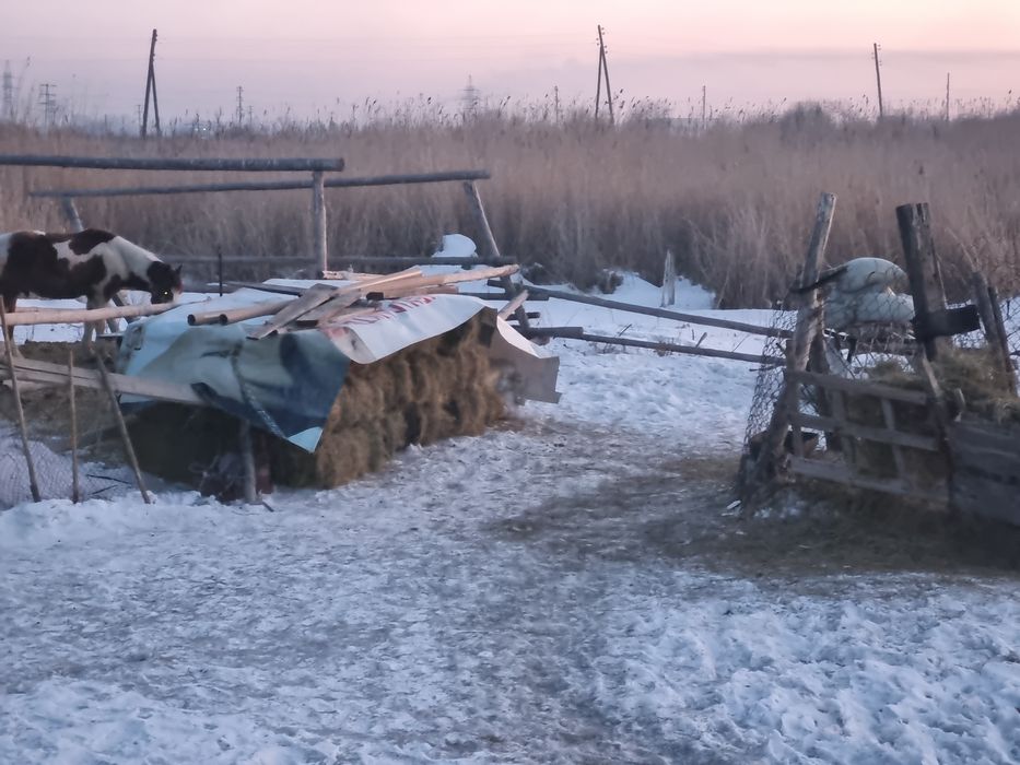 Продам дом на дальней