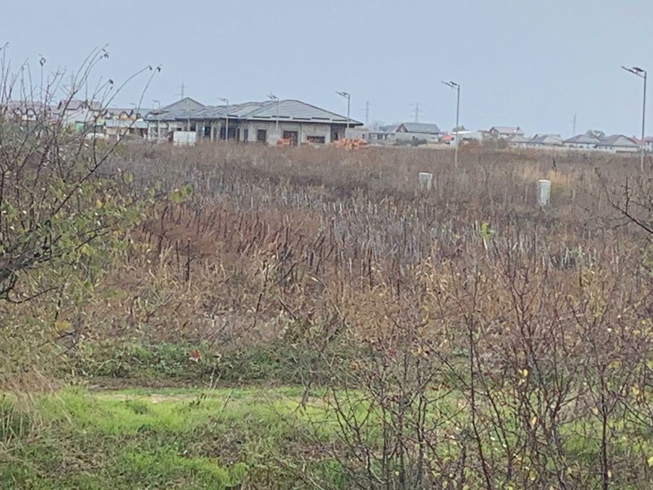 Teren de casa Sabareni linga padure 10 minute pina in Bucuresti