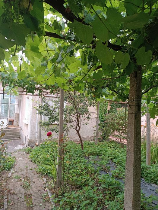 Продава се Къща в Мездра - 100 кв.м за 342 €/кв.м - Снимка #4