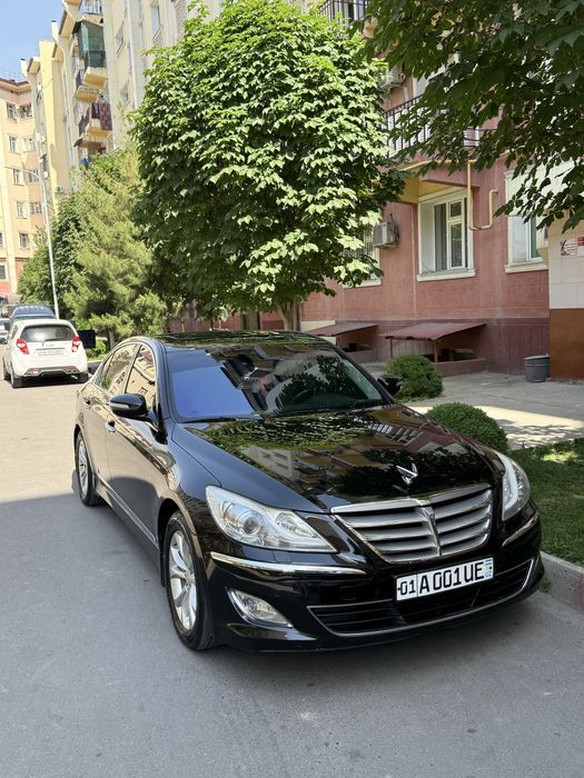 Genesis 3.8 Atmo Mator Luxury Korean Car