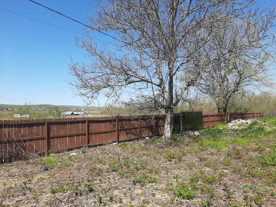 Teren intravilan 15.000 mp – acces dublu asfaltat, jud. Iasi