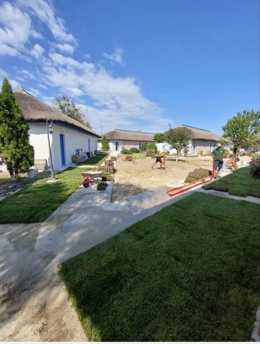 Gazon Rulou de Elită- Transport si Montaj Inclus