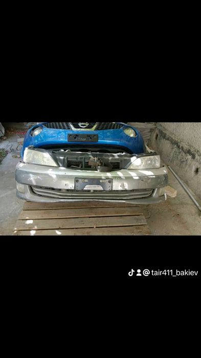 Ноускаты и кузовные детали