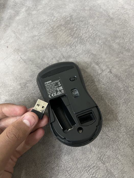 Sichqoncha ,mouse ,mishka , мышка