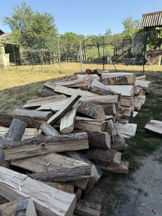 Vindem lemne de foc calitate superioară [Fag,Gorun,Carpen,Cer]