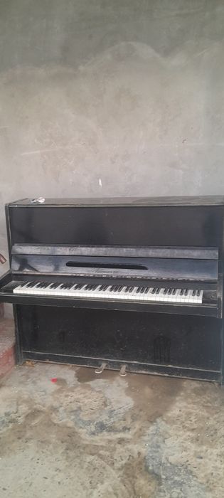 Пияанина ссср ишлаши яахши