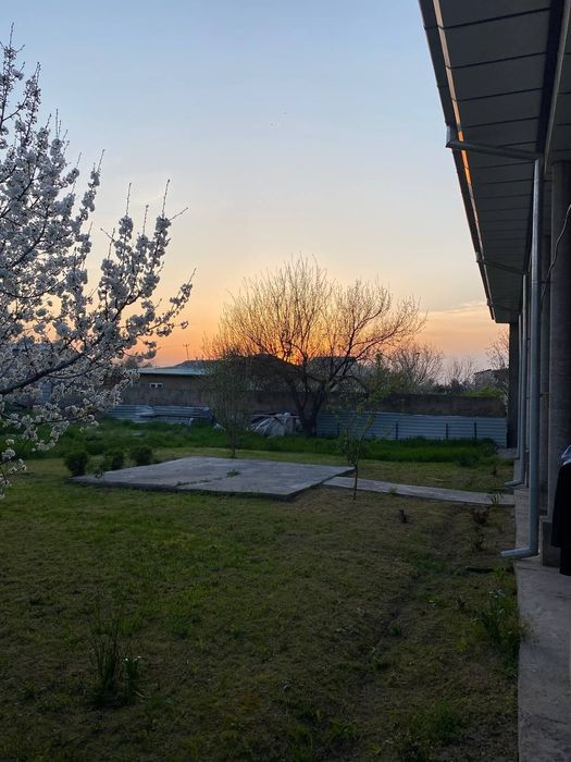 Yeng ozbekston bogin orqasida chiroyli shinam xovli