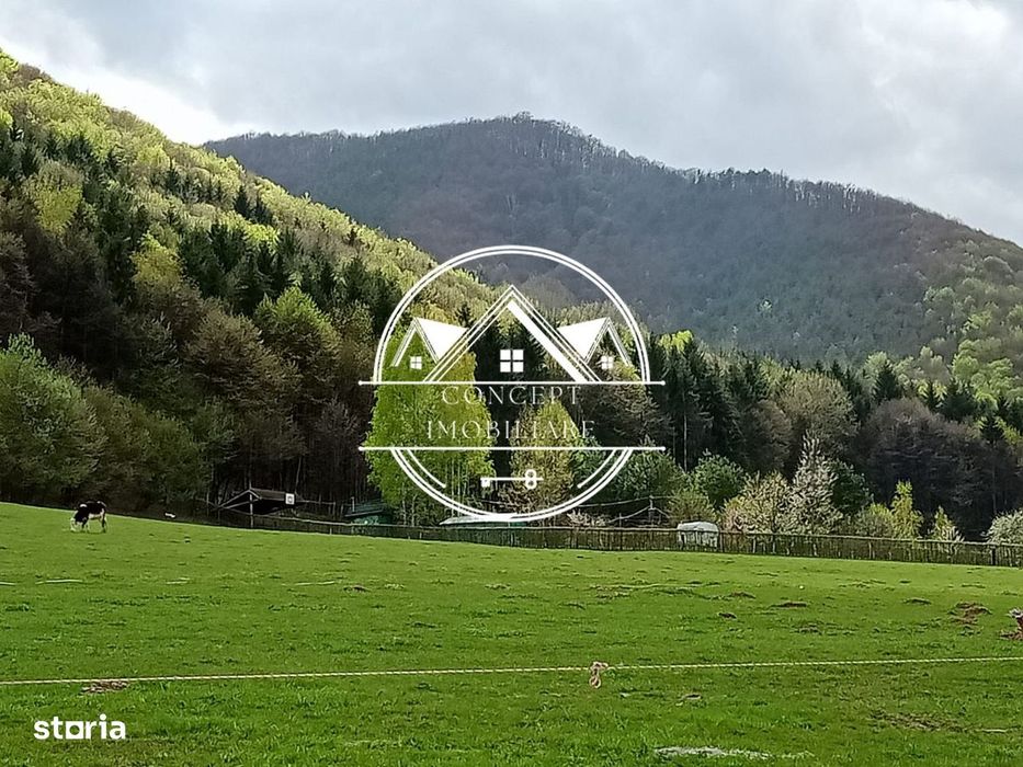 Teren intravilan de vanzare in Tocile, 3862 mp, pretabil investitie
