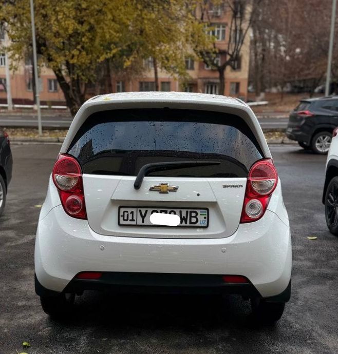 Спарк 2022г. Краска тоза.