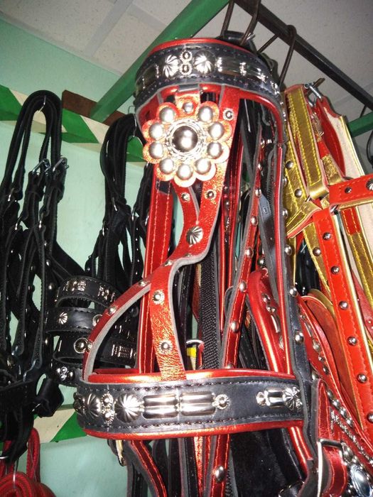 Узда парадная для лошади