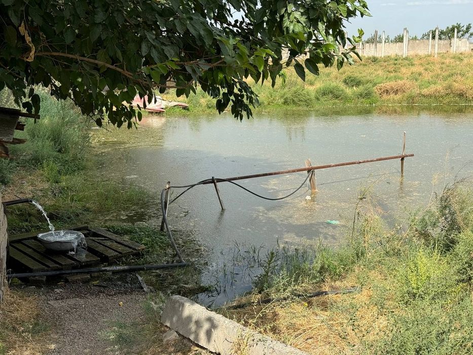 Ferma sotiladi yer narxida