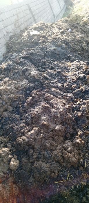 Goʻing molnike tekenga