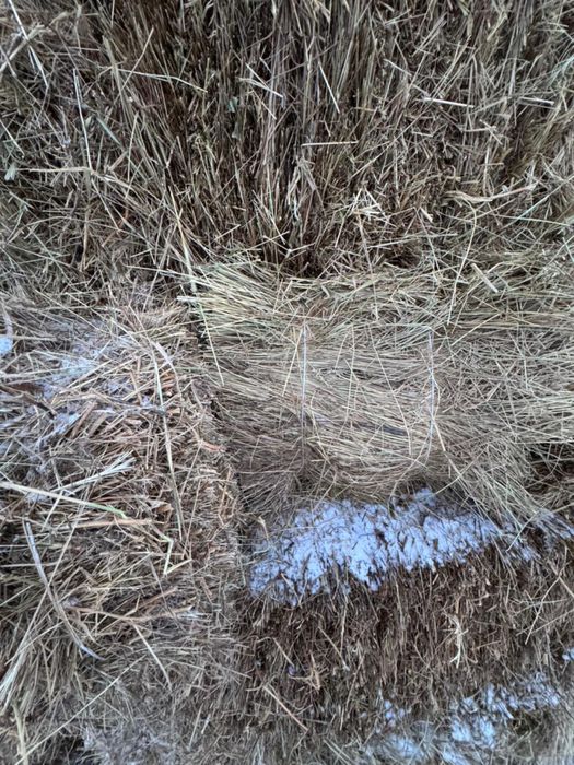 продою сена прес