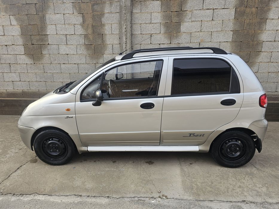 Tozza petno 2012 best