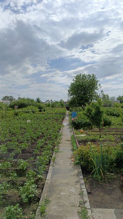 Дачи в с/к Дорожник