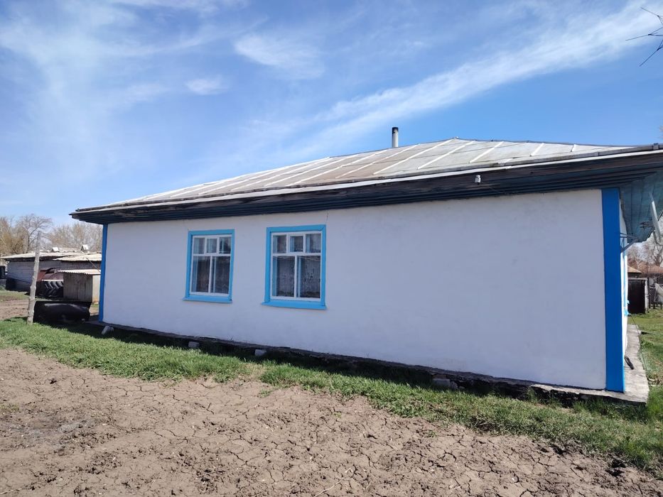 Продам дом с. Песчанка Бородулихинский район