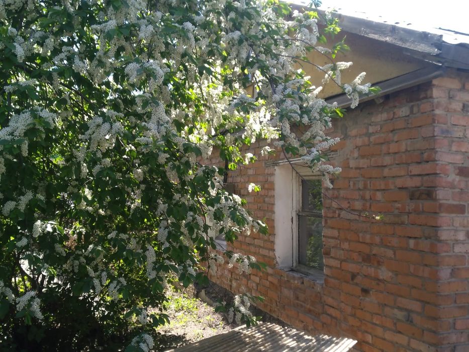 Продам дом в районе Бабкиной Мельницы