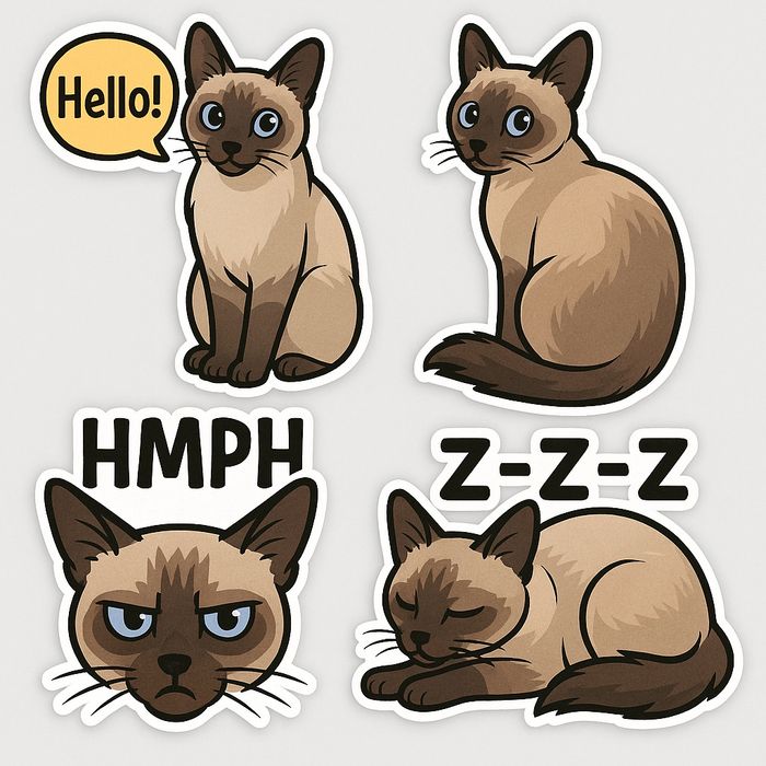 Сиамский мысық DOLLOR