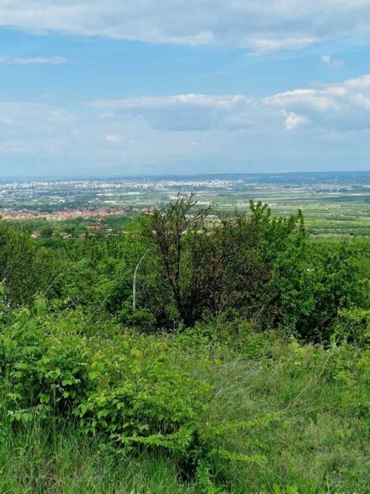 Оферта 57370 - Парцел в с. Брестник