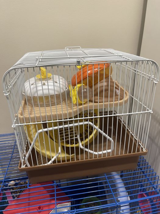 Клетки для хомяка