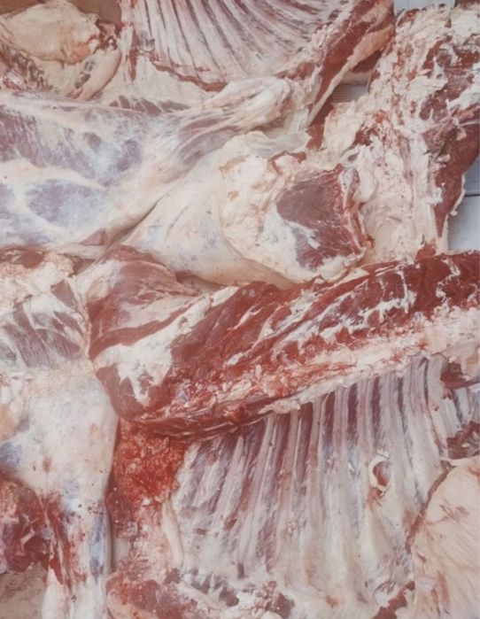 Мясо говядина согым