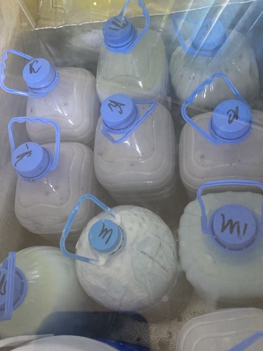 шұбат, қымыз табиғи ешқоспасыз халал