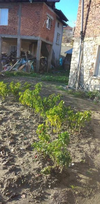 Продавам къща в село Илинденци