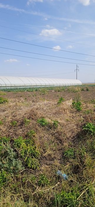 Solarii sere legume cu montaj