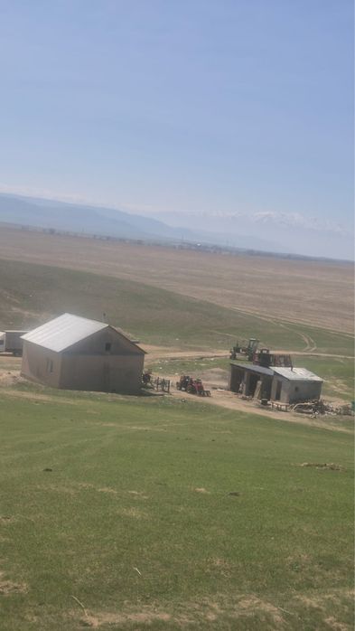 Продам фазенду 100 гектара