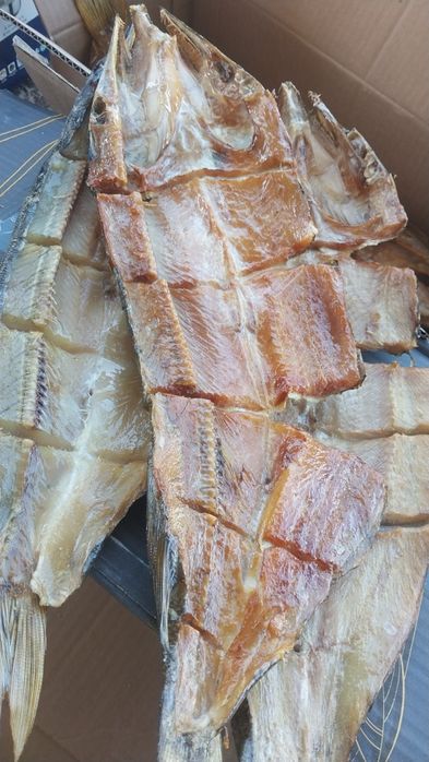 Арзан Капчони балық