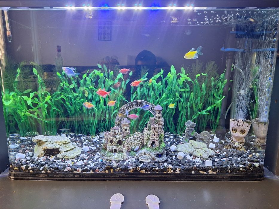 Аквариум RS 800 EF 130л.