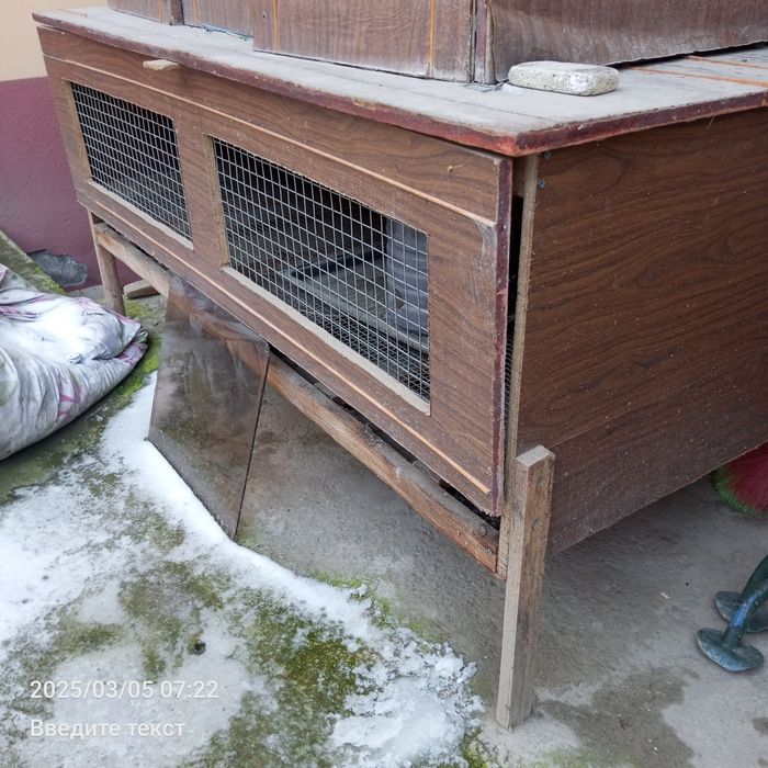 Брудер Жужа бокиш учун