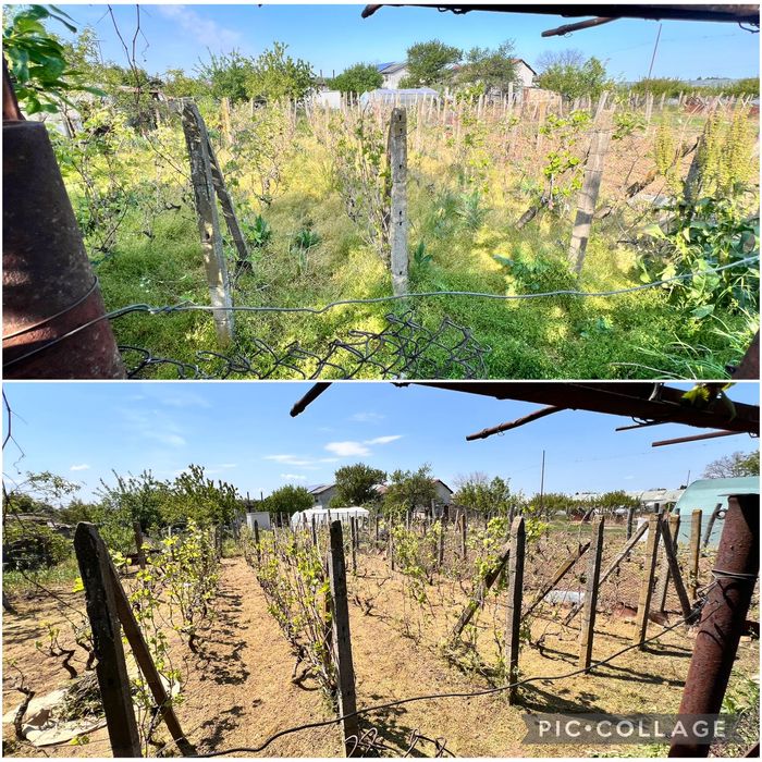 Предлагаме почистване на РАЗУМНА ЦЕНА!